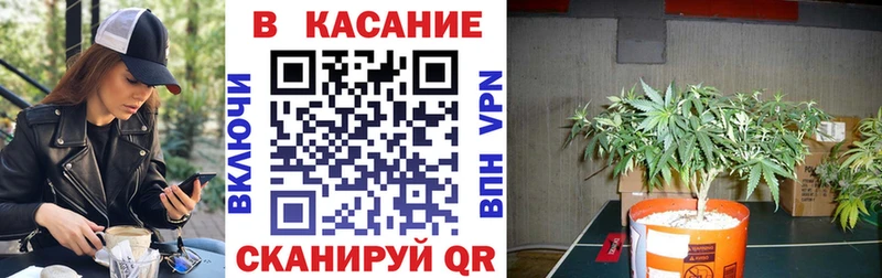 Как найти наркотики Гатчина Кокаин  Гашиш  Alpha PVP  Марихуана 