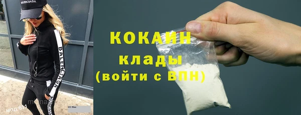 шишки Валдай